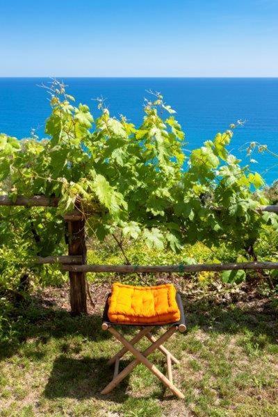 Agriturismo La Selva Finale Ligure Bagian luar foto