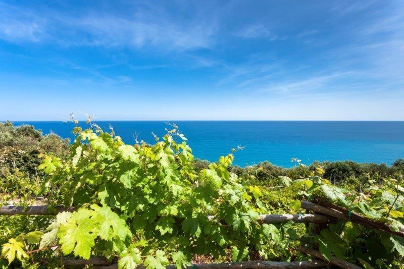 Agriturismo La Selva Finale Ligure Bagian luar foto