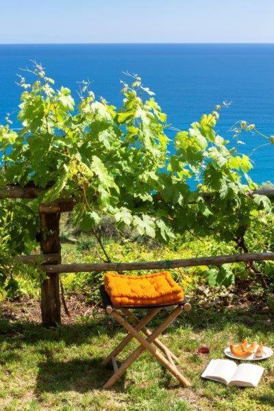 Agriturismo La Selva Finale Ligure Bagian luar foto