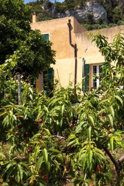 Agriturismo La Selva Finale Ligure Bagian luar foto