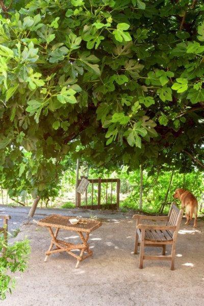 Agriturismo La Selva Finale Ligure Bagian luar foto